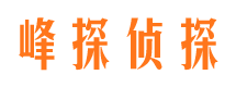 凌云侦探公司